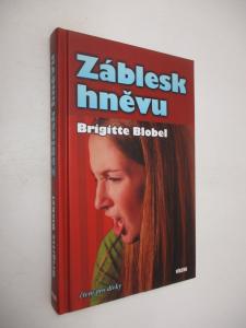 Záblesk hněvu