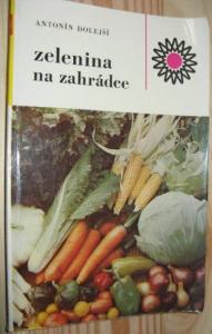 Zelenina na zahrádce