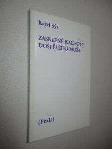 Zasklené kalhoty dospělého muže
