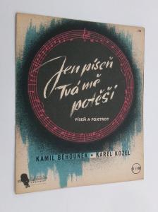 Jen píseň tvá mě potěší