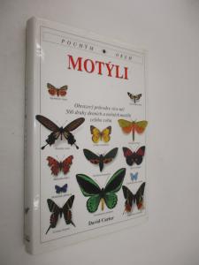 Motýli