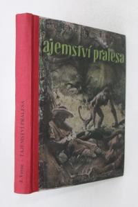 Tajemství pralesa