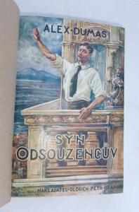 Syn odsouzencův