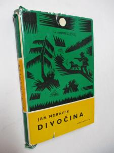 Divočina