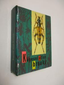 Kapesní atlas brouků