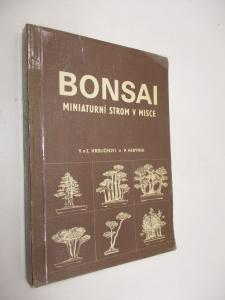 Bonsai miniaturní strom v misce