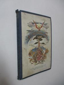 V záři Himalájí - Indické pohádky a pověsti