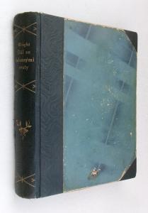 Důl se železnými vraty