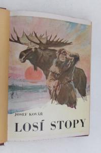 Losí stopy