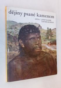 Dějiny psané kamenem