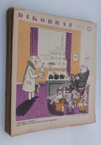 Dikobraz  20. ročník 48 sešitů  / 1964