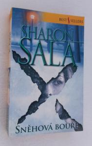 Sněhová bouře