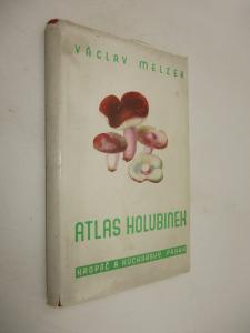 Atlas holubinek