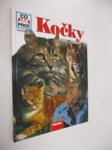 Kočky