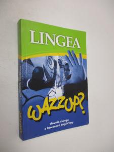 WAZZUP? Slovník slangu a hovorové angličtiny