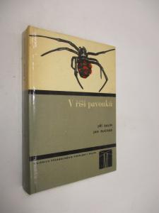 V říši pavouků