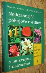 Nejkrásnější pokojové rostliny